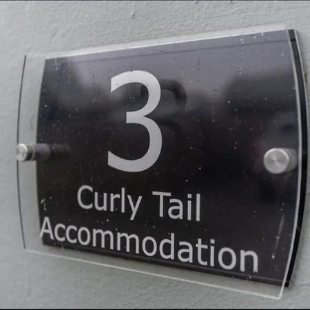Curly Tail Accommodation ビショップス・キャッスル エクステリア 写真