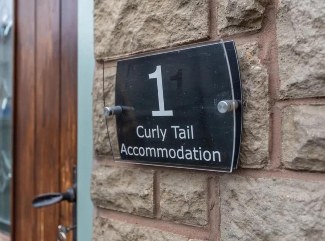 Curly Tail Accommodation ビショップス・キャッスル エクステリア 写真