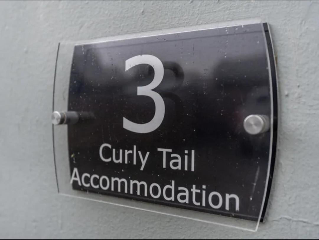Curly Tail Accommodation ビショップス・キャッスル エクステリア 写真
