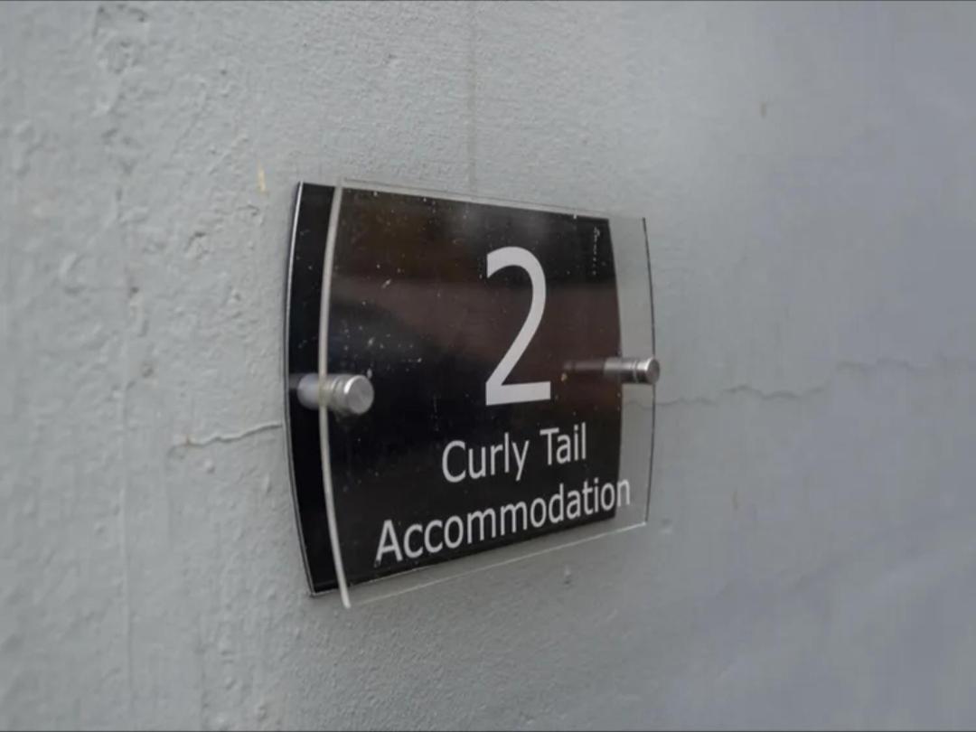 Curly Tail Accommodation ビショップス・キャッスル エクステリア 写真